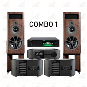 Hệ thống âm thanh nghe nhạc Hi End cao cấp Combo 1